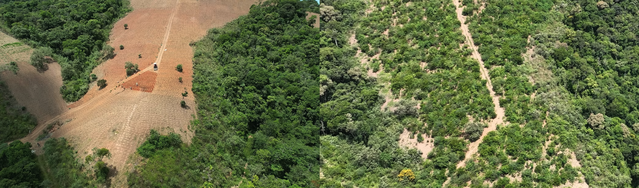 Photo of a study hall with wooden tables and chairs.